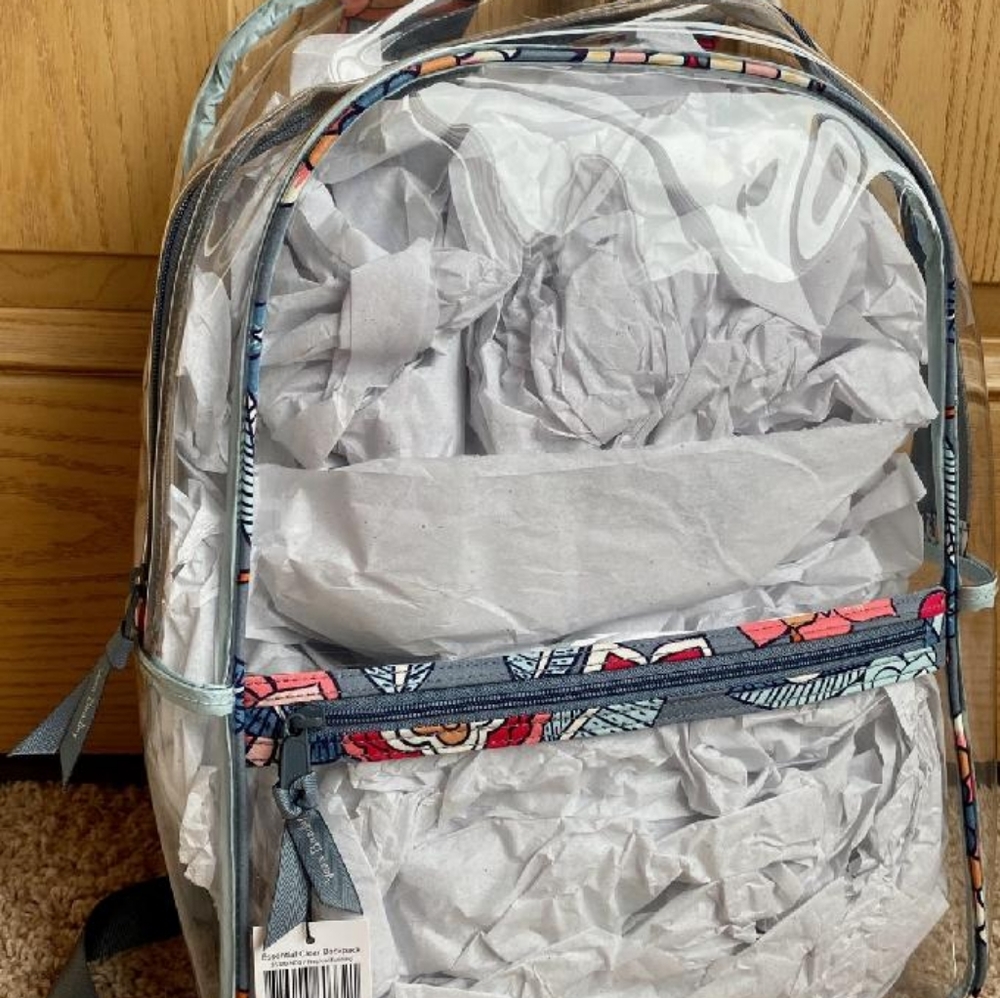 clear backpack
